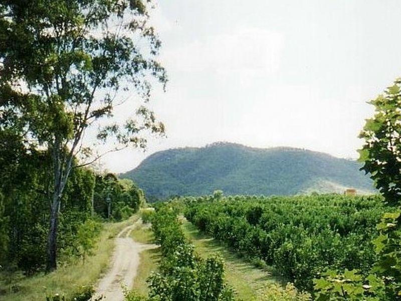 122 Shepherds Road, Gayndah QLD 4625