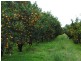 122 Shepherds Road, Gayndah QLD 4625