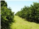 122 Shepherds Road, Gayndah QLD 4625