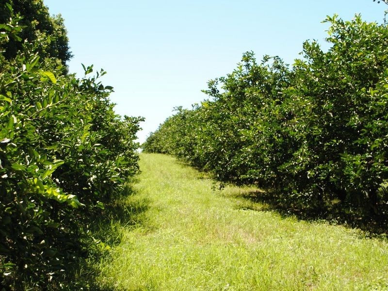 122 Shepherds Road, Gayndah QLD 4625