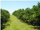 122 Shepherds Road, Gayndah QLD 4625