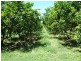 122 Shepherds Road, Gayndah QLD 4625