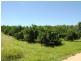 122 Shepherds Road, Gayndah QLD 4625