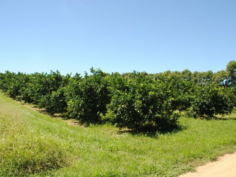 122 Shepherds Road, Gayndah QLD 4625