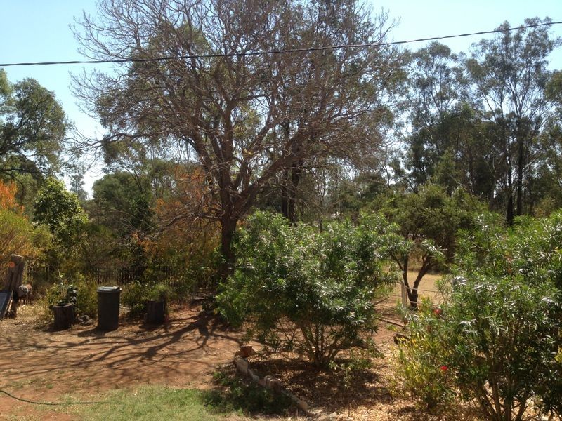 4 Golden Spur Street, Eidsvold QLD 4627