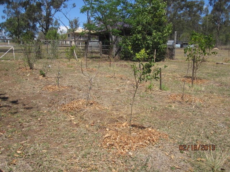 4 Golden Spur Street, Eidsvold QLD 4627