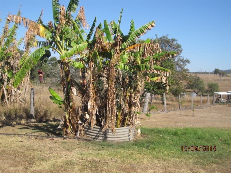 Biggenden QLD 4621