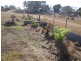 Biggenden QLD 4621