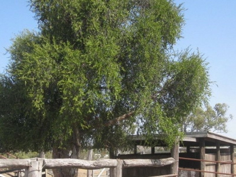 55 Rifle Range Road, Gayndah QLD 4625