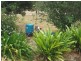 Coalstoun Lakes QLD 4621