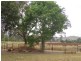 Coalstoun Lakes QLD 4621