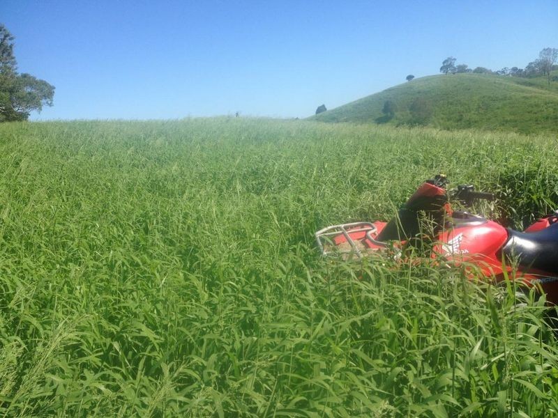 Coalstoun Lakes QLD 4621