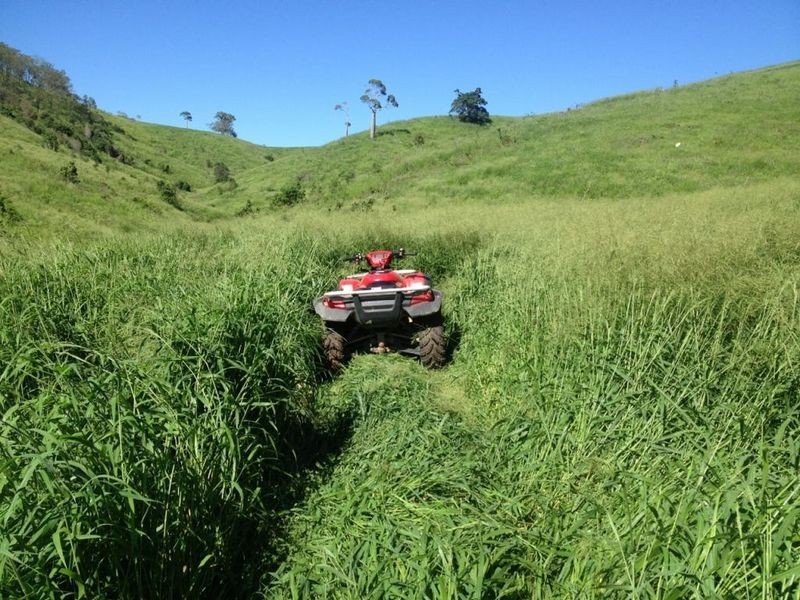 Coalstoun Lakes QLD 4621