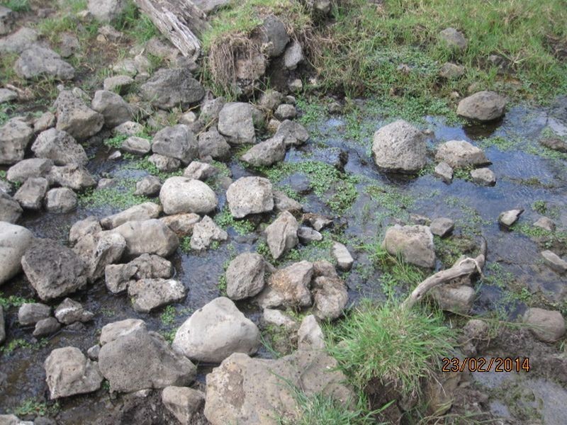 Coalstoun Lakes QLD 4621