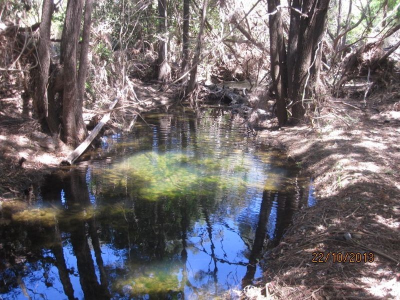 Coalstoun Lakes QLD 4621