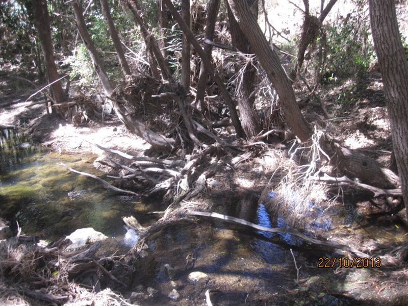 Coalstoun Lakes QLD 4621