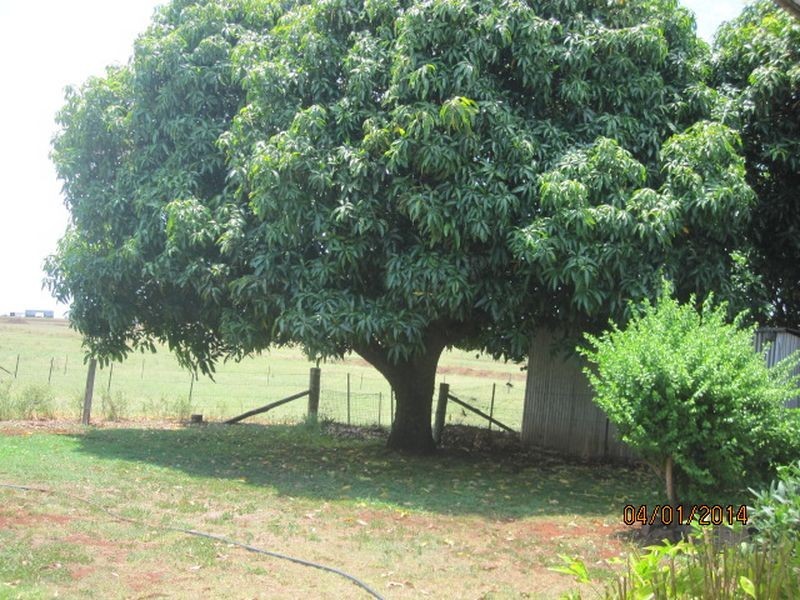 18440 Burnett Highway, Binjour QLD 4625