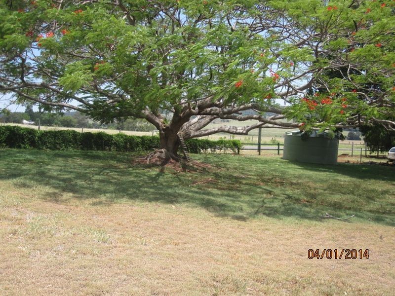 18440 Burnett Highway, Binjour QLD 4625