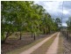 Gayndah QLD 4625