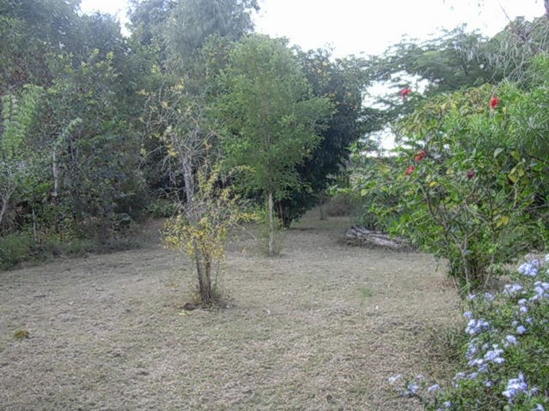 54 Arthur Street, Gayndah QLD 4625