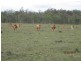Biggenden QLD 4621