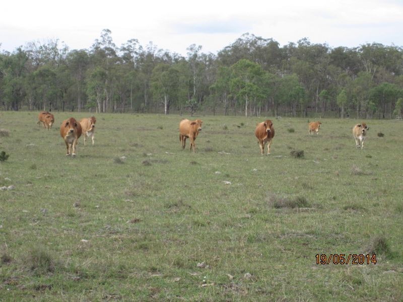 Biggenden QLD 4621