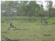 Biggenden QLD 4621
