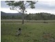 Biggenden QLD 4621