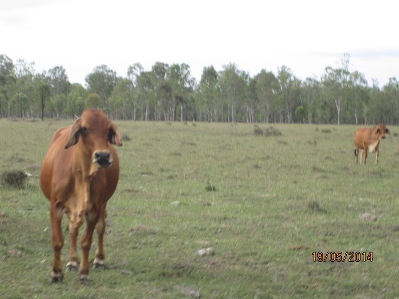Biggenden QLD 4621