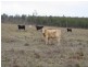 Mundubbera QLD 4626