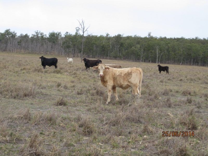 Mundubbera QLD 4626