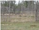 Mundubbera QLD 4626