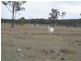 Mundubbera QLD 4626