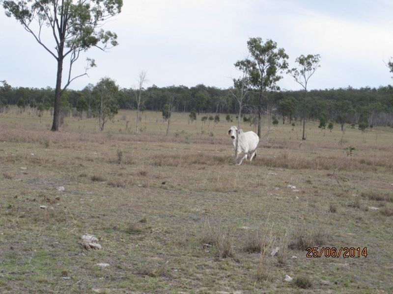 Mundubbera QLD 4626
