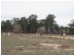Mundubbera QLD 4626
