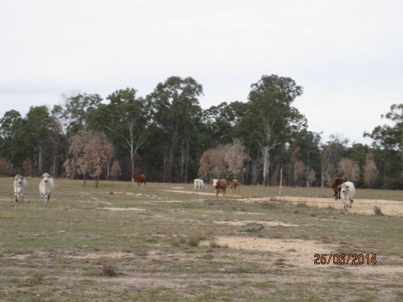 Mundubbera QLD 4626
