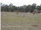 Mundubbera QLD 4626