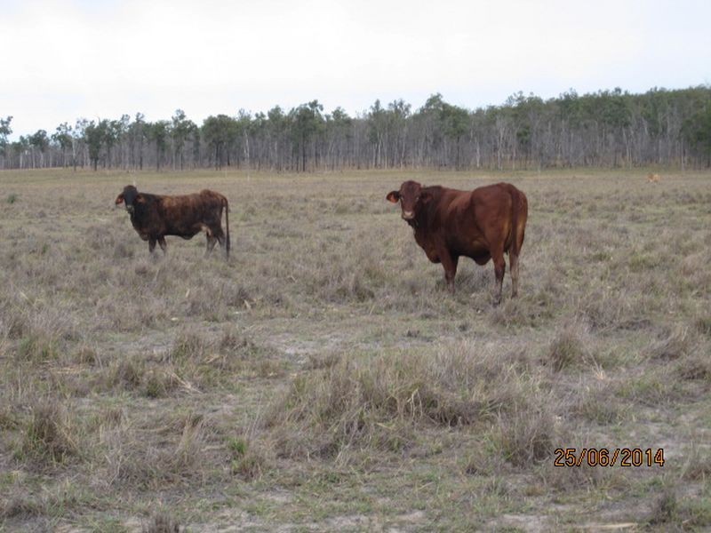 Mundubbera QLD 4626