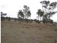 Mundubbera QLD 4626