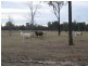 Mundubbera QLD 4626