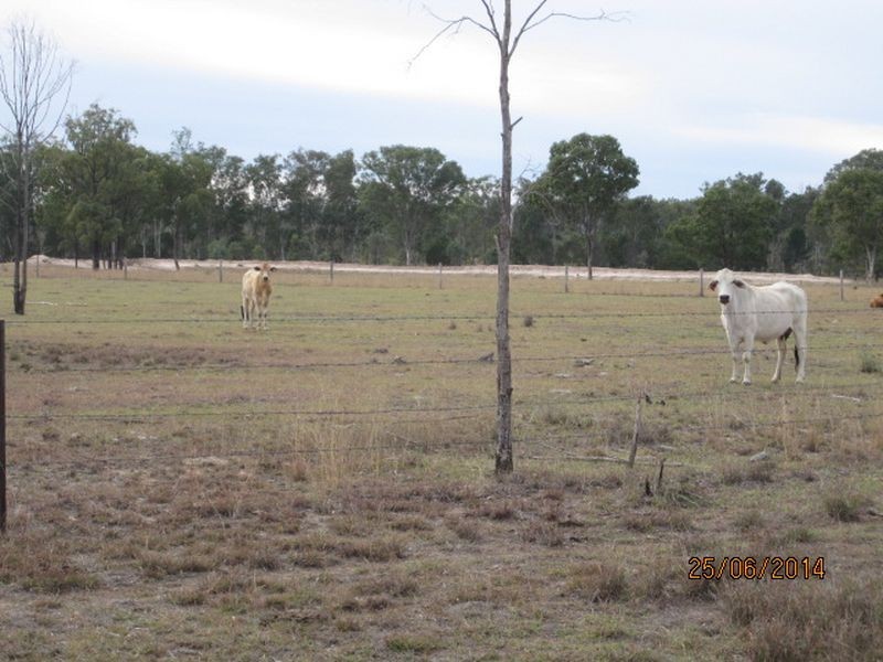 Mundubbera QLD 4626