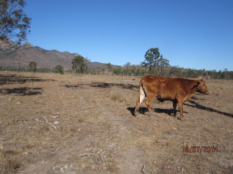 Biggenden QLD 4621