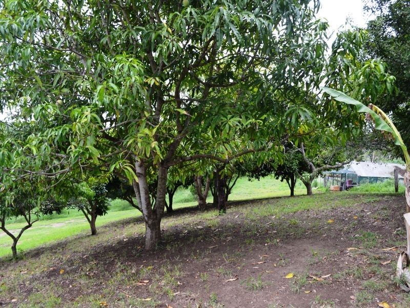 122 Shepards Rd, Gayndah QLD 4625