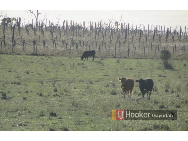 Lot 11 Mundubbera-Durong Rd, Boynewood QLD 4626