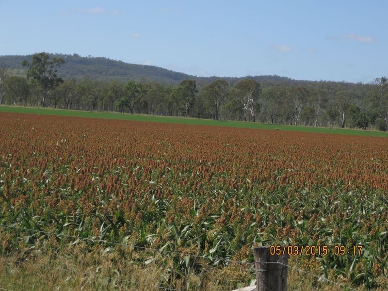 Windera Station, Windera QLD 4605