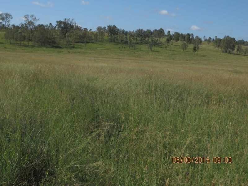 Windera Station, Windera QLD 4605