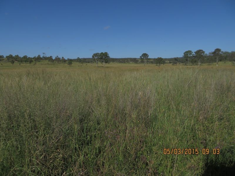 Windera Station, Windera QLD 4605