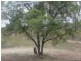 25 Mount Rose St, Eidsvold QLD 4627