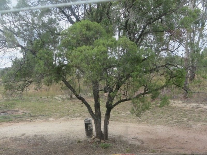 25 Mount Rose St, Eidsvold QLD 4627