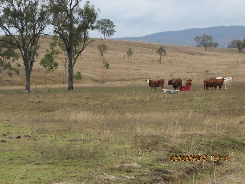 Biggenden QLD 4621